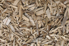 biomass boilers Sascott