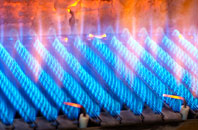 Sascott gas fired boilers